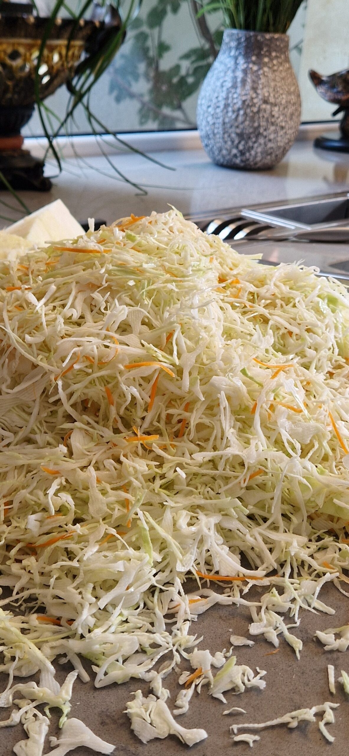 cabbage3 cabbage3