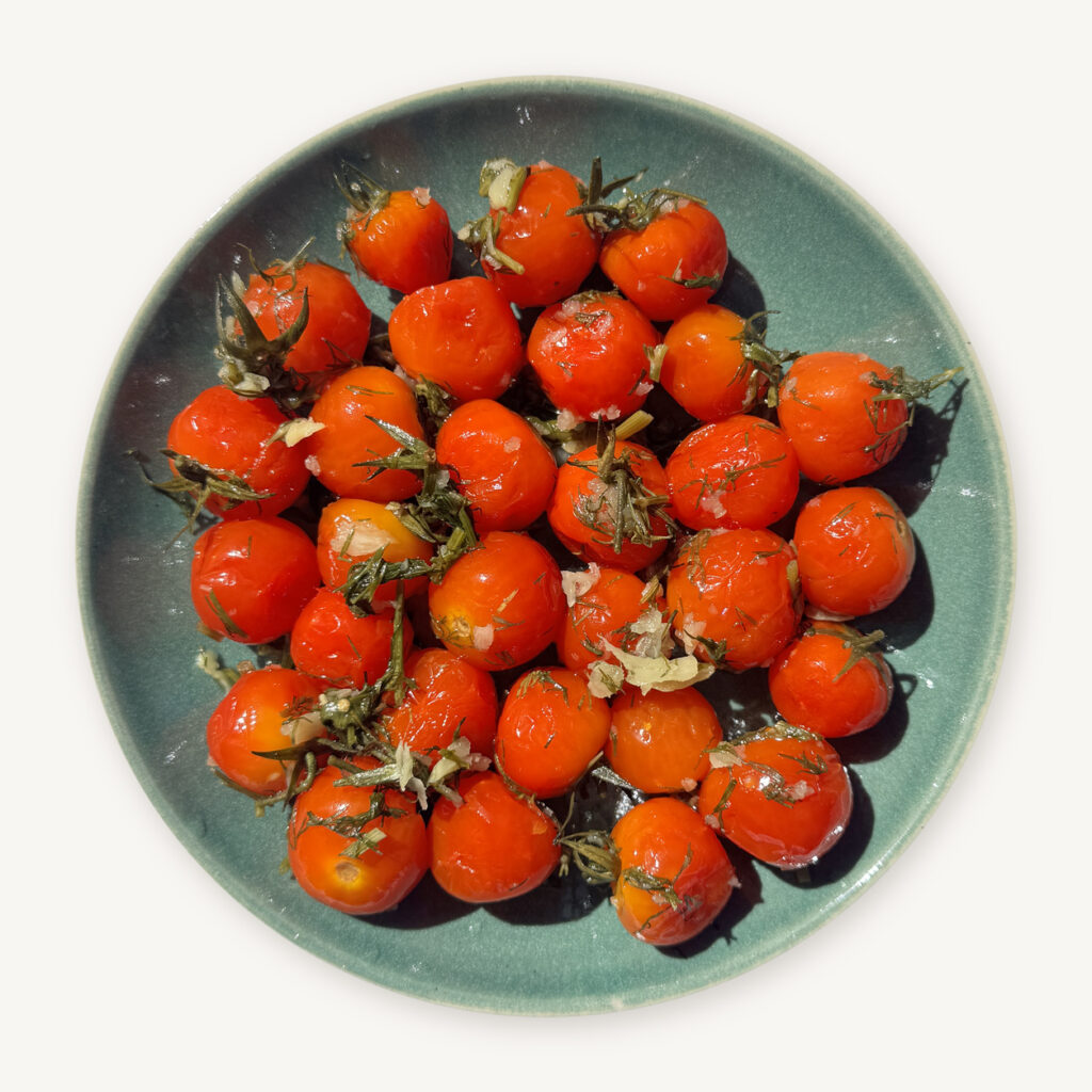 Home kvasni tomaten 1254